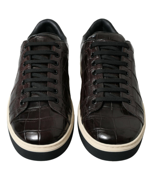 Dolce & Gabbana Brown Croc Exotic Leather Men Casual Sneakers Shoes - DEA STILOSA MILANO