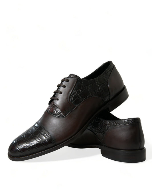 Dolce & Gabbana Brown Exotic Leather Formal Men Dress Shoes - DEA STILOSA MILANO
