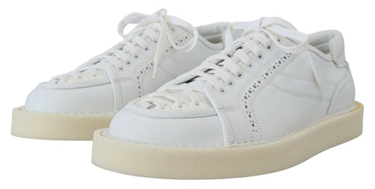 Dolce & Gabbana White Leather Low Top Oxford Sneakers Casual Shoes - DEA STILOSA MILANO