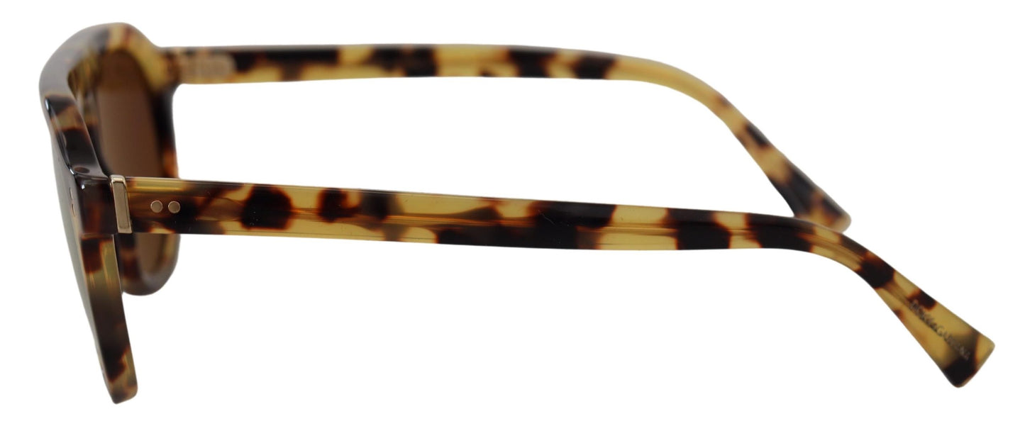 Dolce & Gabbana Brown Tortoise Oval Full Rim Shades DG4306F Sunglasses - DEA STILOSA MILANO