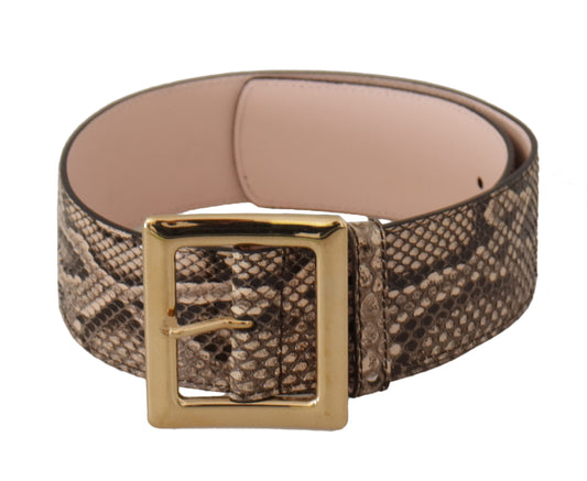 Dolce & Gabbana Beige Exotic Leather Wide Gold Metal Buckle Belt - DEA STILOSA MILANO