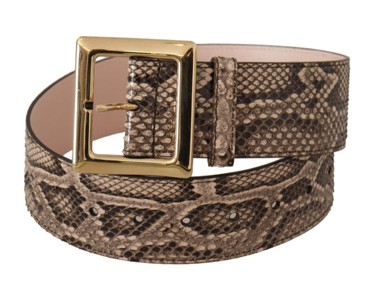 Dolce & Gabbana Beige Exotic Leather Wide Gold Metal Buckle Belt - DEA STILOSA MILANO