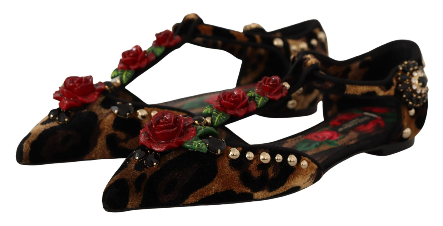 Dolce & Gabbana Brown Ballerina Embellished Leopard Print Shoes - DEA STILOSA MILANO