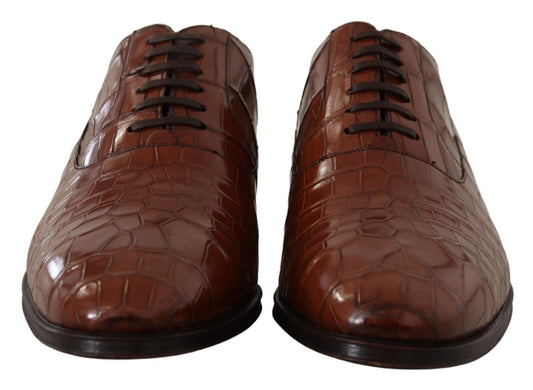 Dolce & Gabbana Brown Crocodile Leather Mens Formal Derby Shoes - DEA STILOSA MILANO
